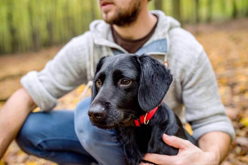 names for black dog