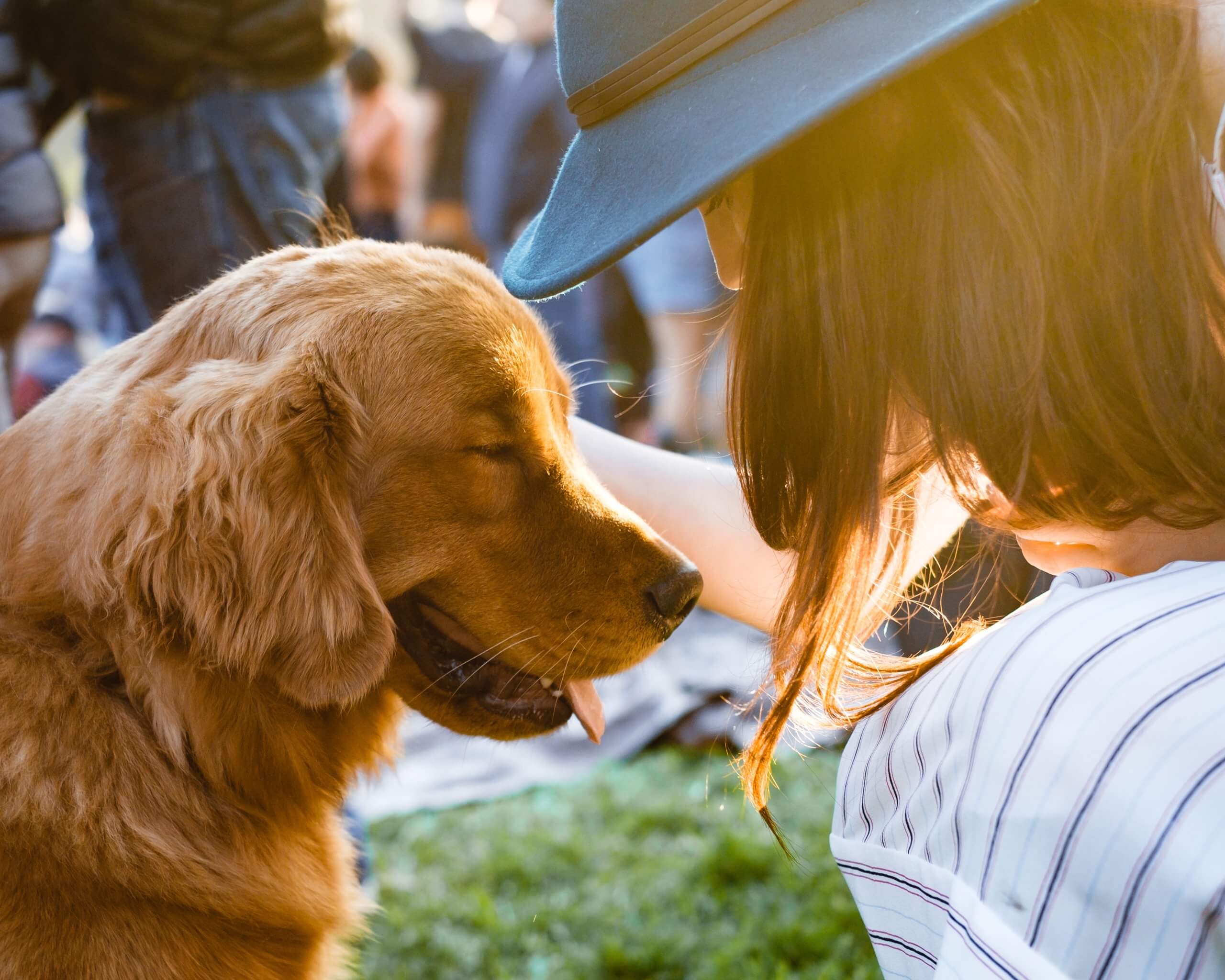 How To Keep Your Dog Busy