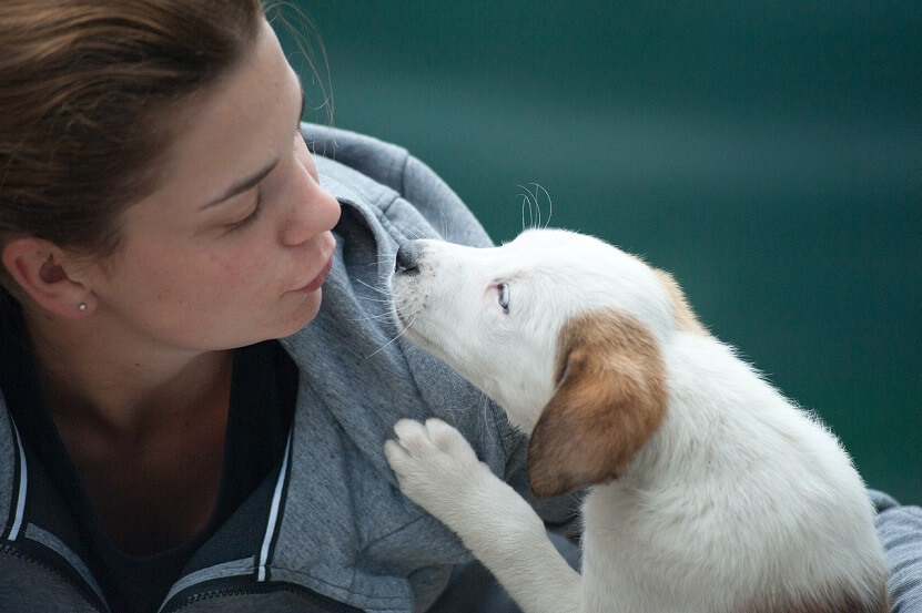 Puppy Bond